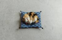 Petit chat tricolore en fourrure
