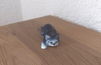 Petit chat vintage à plat ventre 37