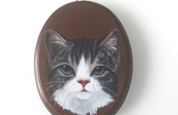 Portrait de chat