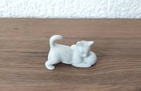Miniature Chat blanc avec balle entre ses pattes