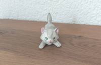 Petit chaton joueur