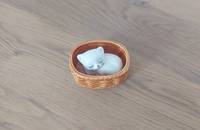 Petit chat dans panier brun