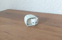Petit chat couché dans panier
