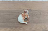 Chat siamois se lèche la patte