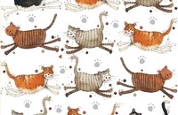 Alex Clark Dessous de verre Cats