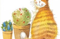 Alex Clark Dessous de verre chat moustaches