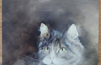 Carte postale d'art chat Dédé Moser Regard sur l'infini