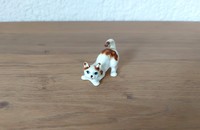 Chat miniature blanc et brun