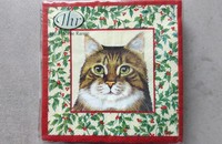 Petites serviettes Noël écru avec 4 portraits de chats