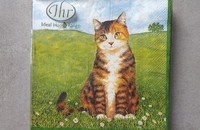 Serviettes Chats au printemps