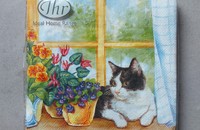 Serviettes Chats à la fenêtre