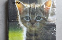 Serviettes chaton JIMMY