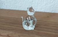 Chat en verre avec poitrine de héros