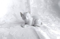 Petit chat blanc II