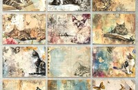 Scrapbooking 36 feuilles avec motif chats vintage