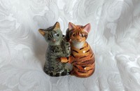 Chats Poivre et sel