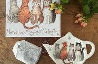Alex Clark Petite assiette chats Marvellous Moggies