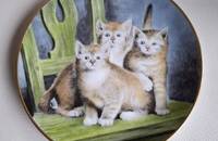 Assiette de collection Kaiser chatons 3