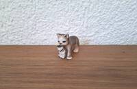 Petite maman chat avec chaton