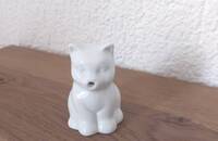 Petit crémier chat blanc