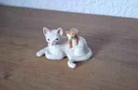 Petite boîte chat avec chaton