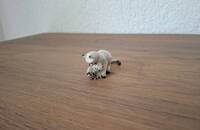 Miniature chat siamois avec chaton I