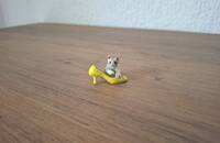 Miniature chat avec chaussure jaune