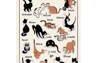 Linge de cuisine Dubout chats Chat'titudes