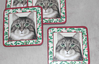 Noël sous-verres chat tigré