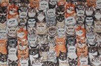 Tissu "Petites têtes de chats" 
