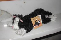 Peluche Chat Schaffer "MIA" petit noir-blanc