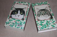 1 x longues Allumettes chat Noël