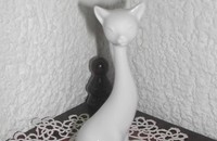 Chat amoureux blanc
