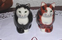 Couple chats poivre et sel III