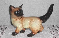 Goebel chat siamois