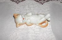 Petit chat dormant sur le dos 1