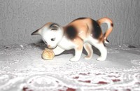 Petit chat avec de la laine 3