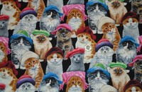 Tissu chats avec bonnets