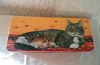 Boîte réctangulaire II avec chat tigré