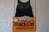 Plaque carte postale en métal  "Black Cat"