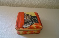 Boîte carrée en fer avec chat tigré