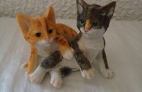 Couple de chatons couché A