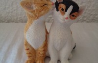 Couple de chatons assis II