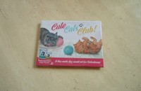 Magnet "Cute Cats Club!"