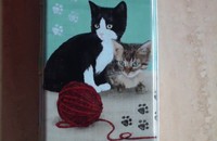 Boîte à crayons Cats and Kittens  