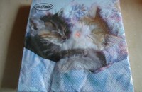 Serviettes avec deux chatons