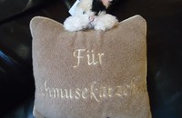 Coussin chat en peluche Für Schmusekätzchen