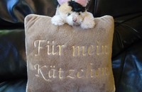 Coussin chat en peluche Für mein Kätzchen