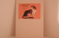 Carte "Chat automne"
