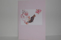 Carte "Chat printemps"